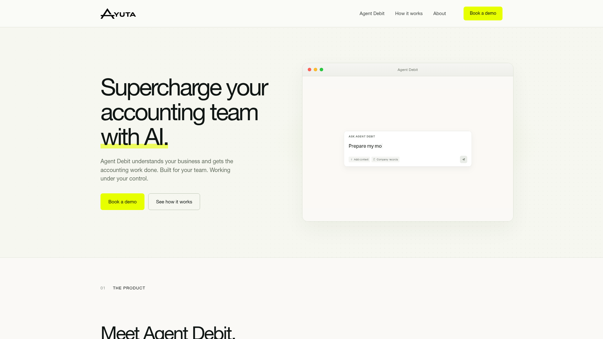 Agent Debit screenshot